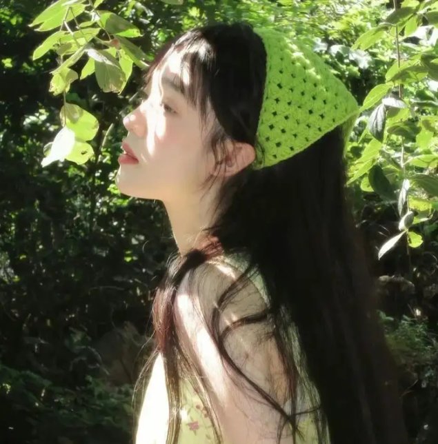 克努特和他的朋友们
